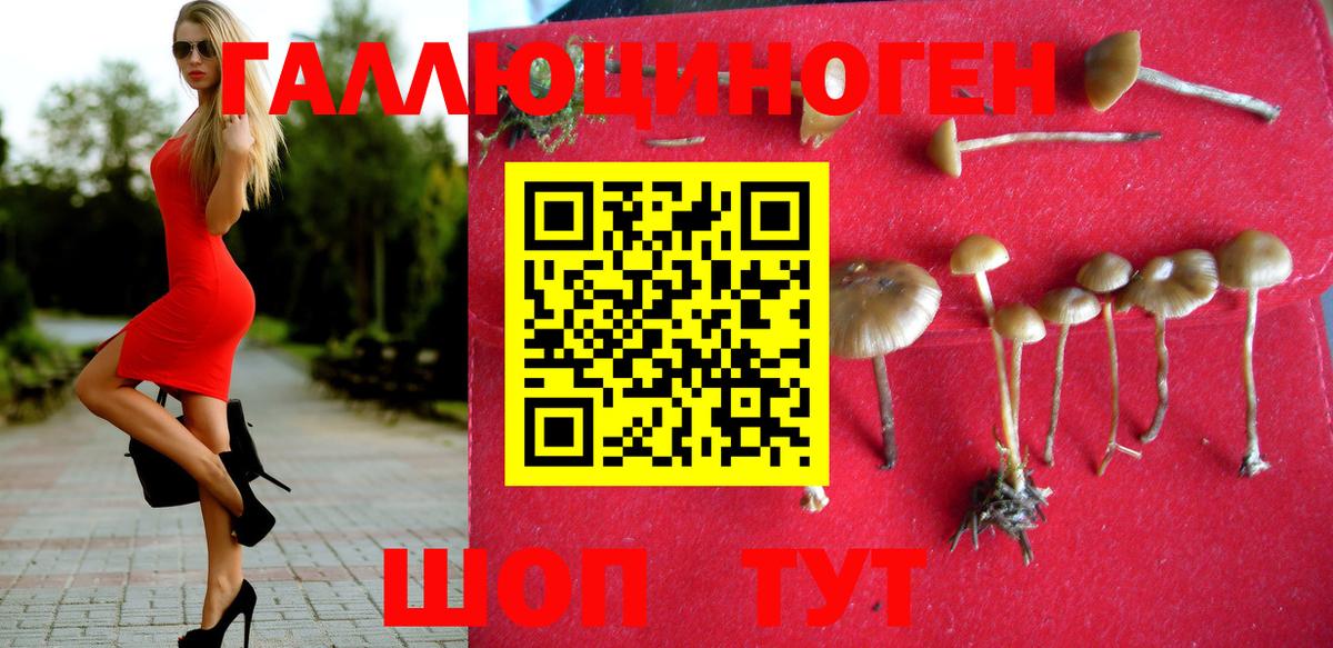 Кимовск  Псилоцибиновые грибы мицелий  Вход с VPN 