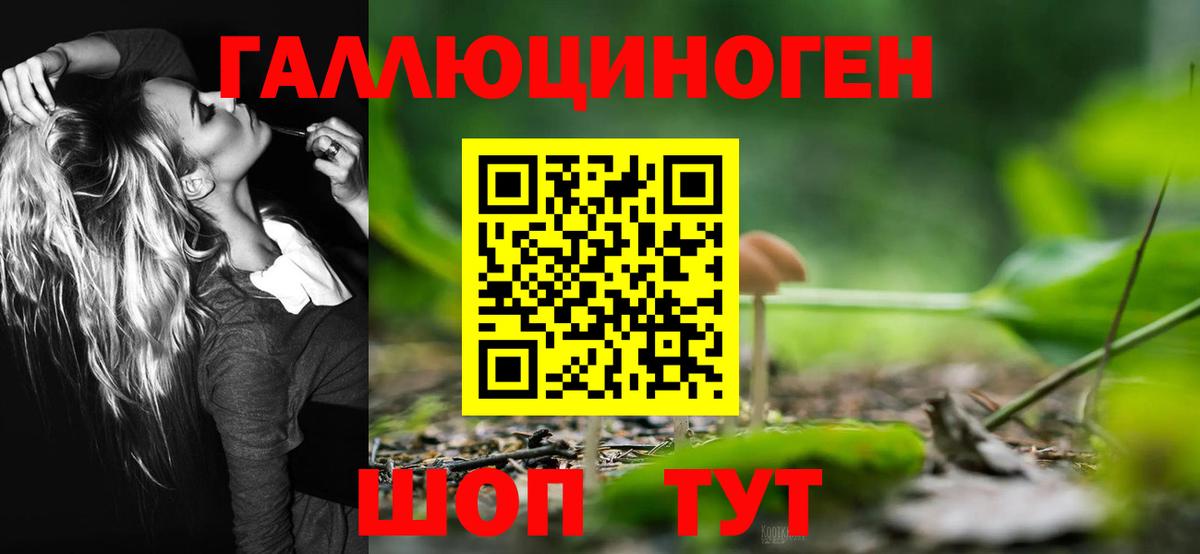 Псилоцибиновые грибы Magic Shrooms Кимовск