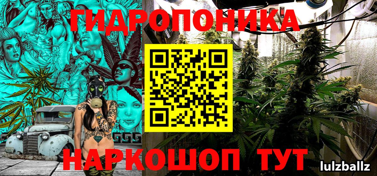 Бошки марихуана OG Kush  МАРИХУАНА марихуана  Вход с VPN  Шишки марихуана OG Kush  Кимовск 